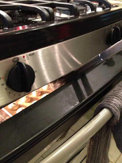 Oven Door Propped Open