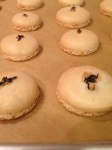 Tea Macaron Shells