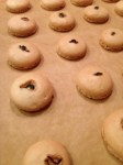 Tea Macaron Shells