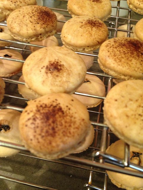 Macaron Shells Cooling